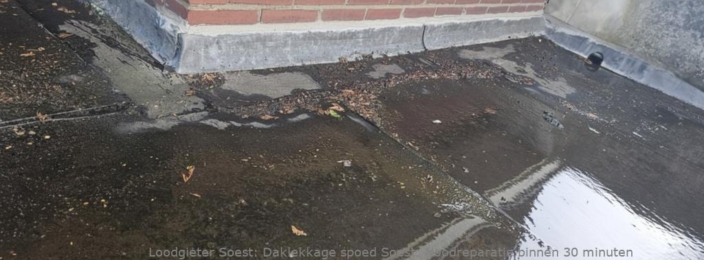 Daklekkage Spoed Soest