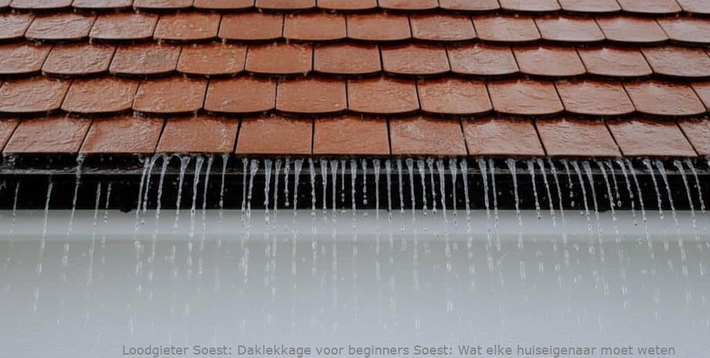 Daklekkage Voor Beginners Soest