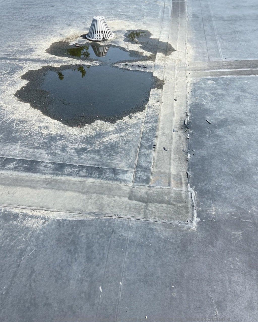 Daklekkage Winter Soest