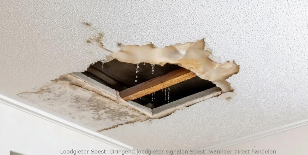 Dringend Loodgieter Signalen Soest