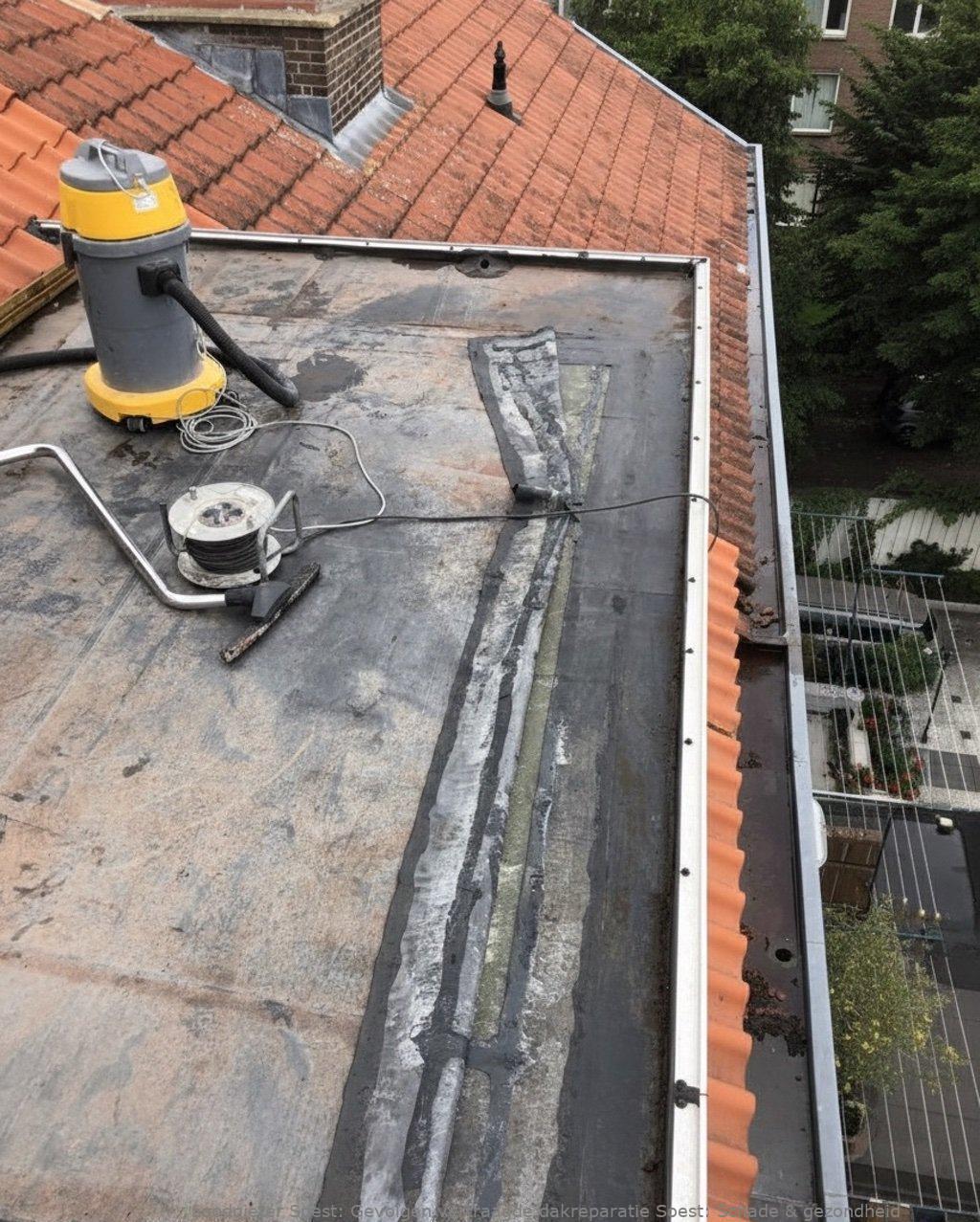 Gevolgen Vertraagde Dakreparatie Soest