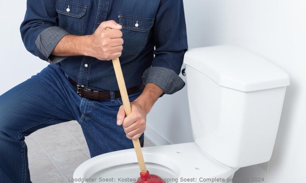 Kosten Wc Ontstopping Soest