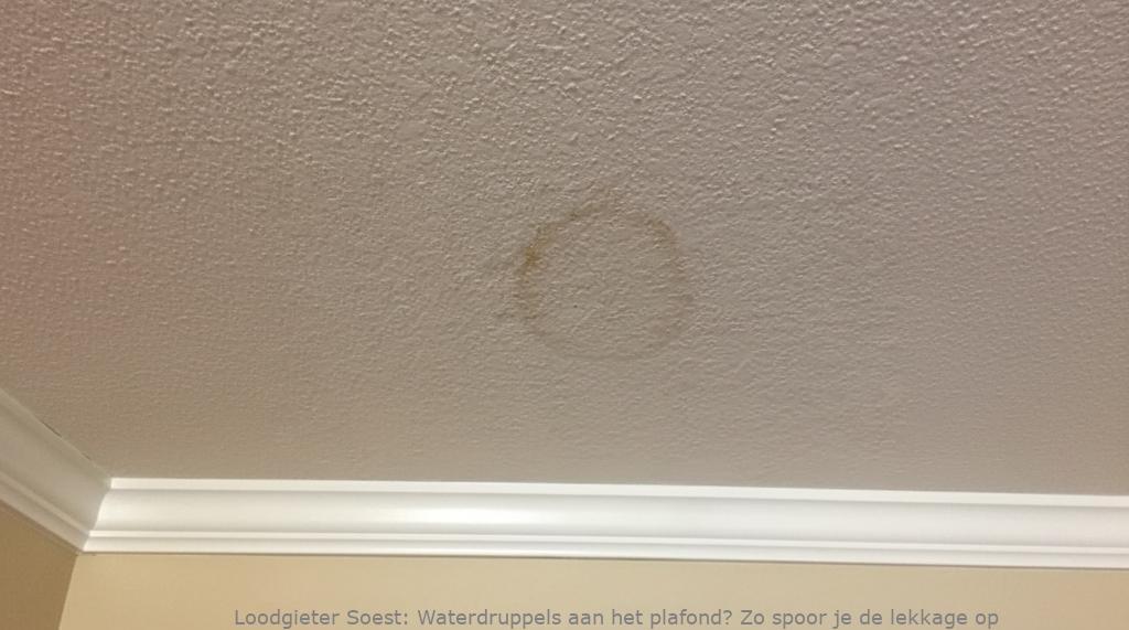Lekkage Plafond Soest