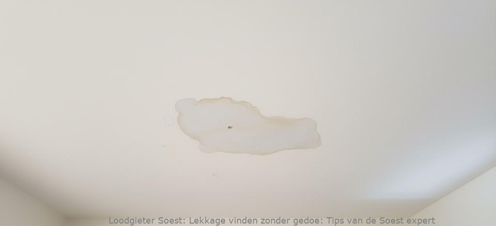 Lekkage Vinden Soest
