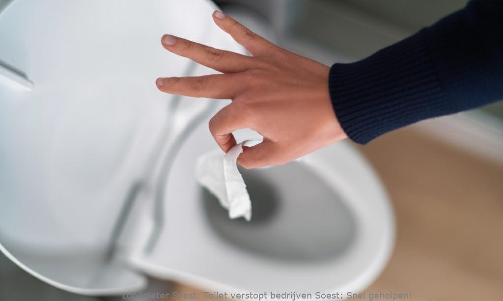 Toilet Verstopt Bedrijven Soest