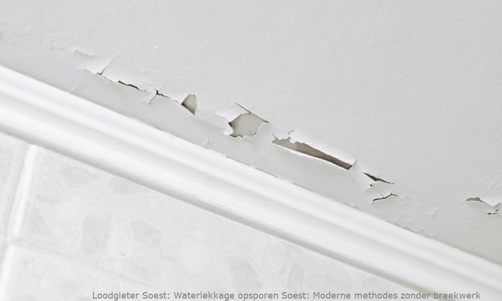 Waterlekkage Opsporen Soest