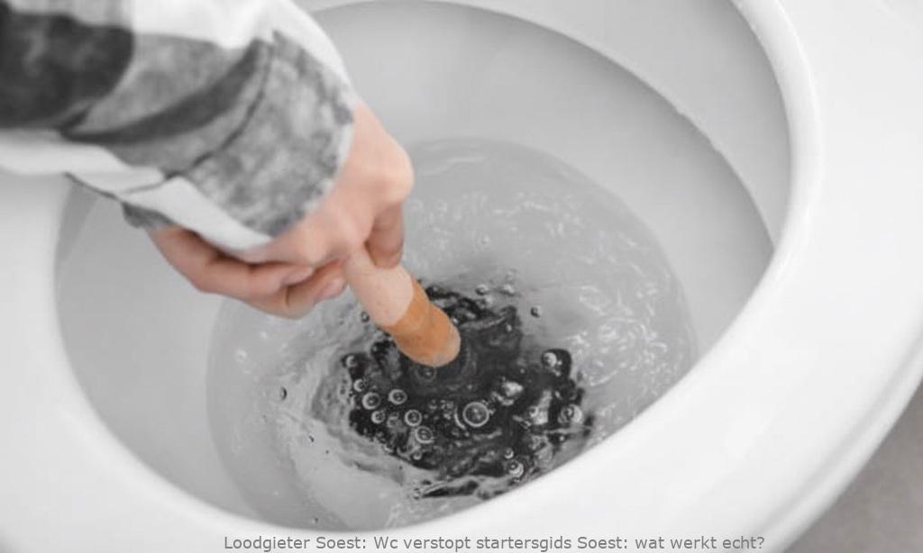 Wc Verstopt Startersgids Soest